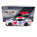 Chase Elliott 2025 NAPA Salutes 1:24 Nascar Diecast