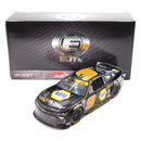 Chase Elliott 2025 NAPA Gold Filters Elite 1:24 Nascar Diecast