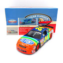 Jeff Gordon 1996 DuPont Dover Race Win 1:24 Nascar Diecast Door DIN #