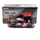 Austin Dillon 2025 Dow DayGlo 1:24 Nascar Diecast